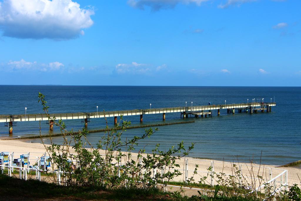 Strandlaeufer Zempin Rom bilde