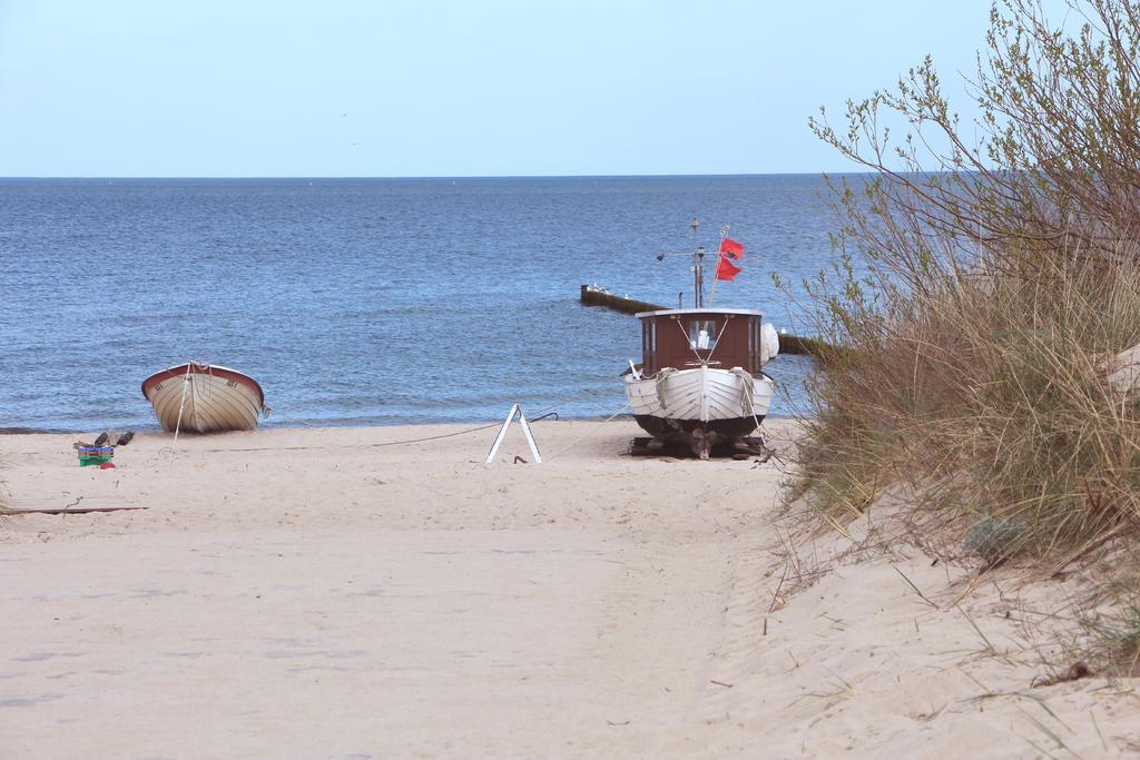 Strandlaeufer Zempin Rom bilde