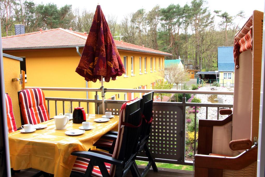 Strandlaeufer Zempin Rom bilde