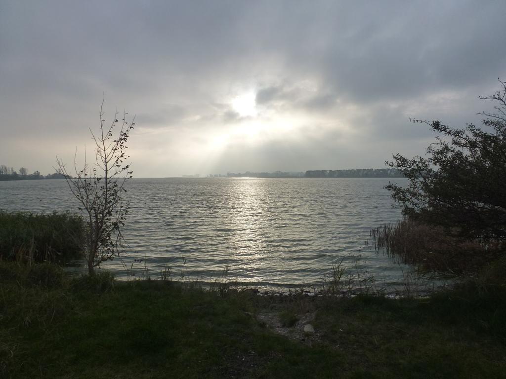 Strandlaeufer Zempin Rom bilde